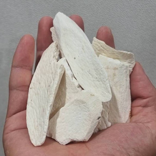 HOÀI SƠN - MÓN QUÀ NGỌT LÀNH TỪ ĐẠI NGÀN Y TÝ (túi 500g lát khô)