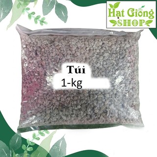 Đá Pumice-Đá bọt núi lửa - ( túi 1-kg)