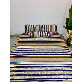 [NỆM 20-30CM] Bộ drap ga thun hàn quốc 4 món