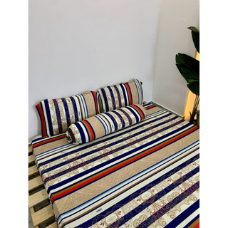 [NỆM 20-30CM] Bộ drap ga thun hàn quốc 4 món
