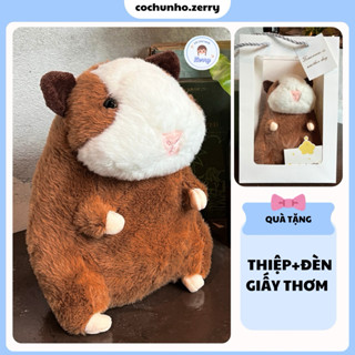 Gấu bông chuột hamsters cao 20-22cm quà tặng dễ thương cho nam nữ