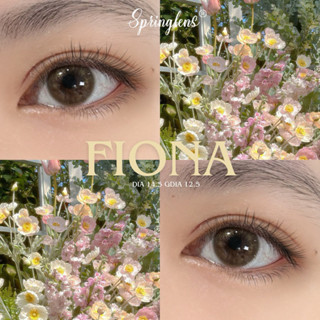  Lens nâu hổ phách nhũ FIONA BROWN tự nhiên | Kính áp tròng @spring.lens 