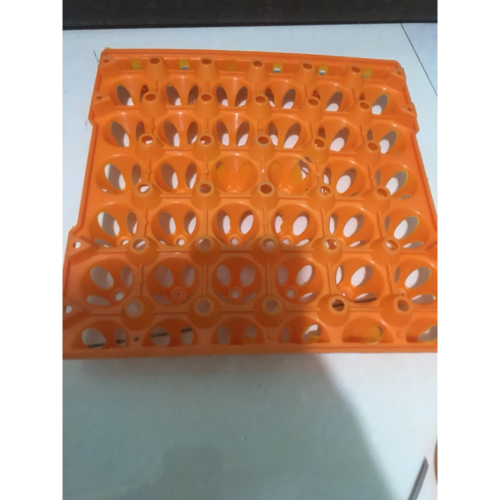 Vỉ trứng nhựa