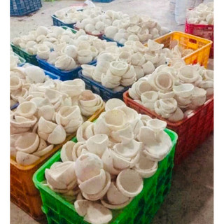 (Hoả Tốc HCM) Cơm Dừa Non Bánh Tẻ Cấp Đông - Đã làm sạch vỏ lụa (Hình Thật 100%)