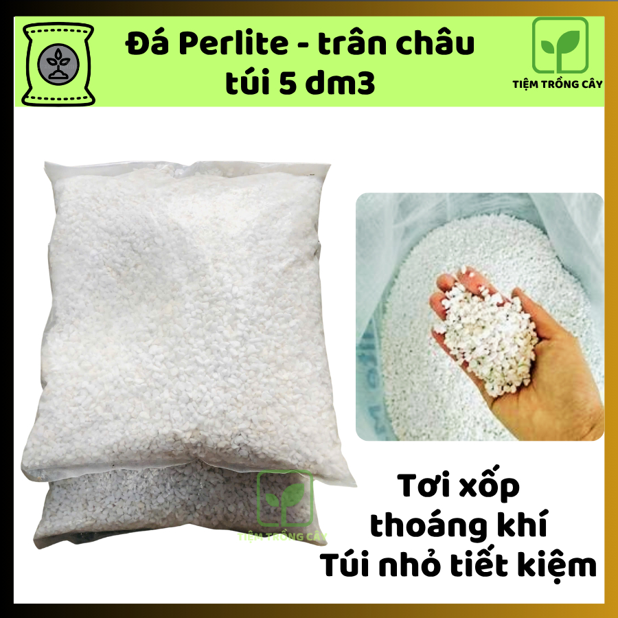 Đá Perlite Trồng Cây Túi 2 Lít – Trắng Xốp Nhẹ, Thoát Nước Tốt, Kích Rễ Kiểng Lá - Sen Đá