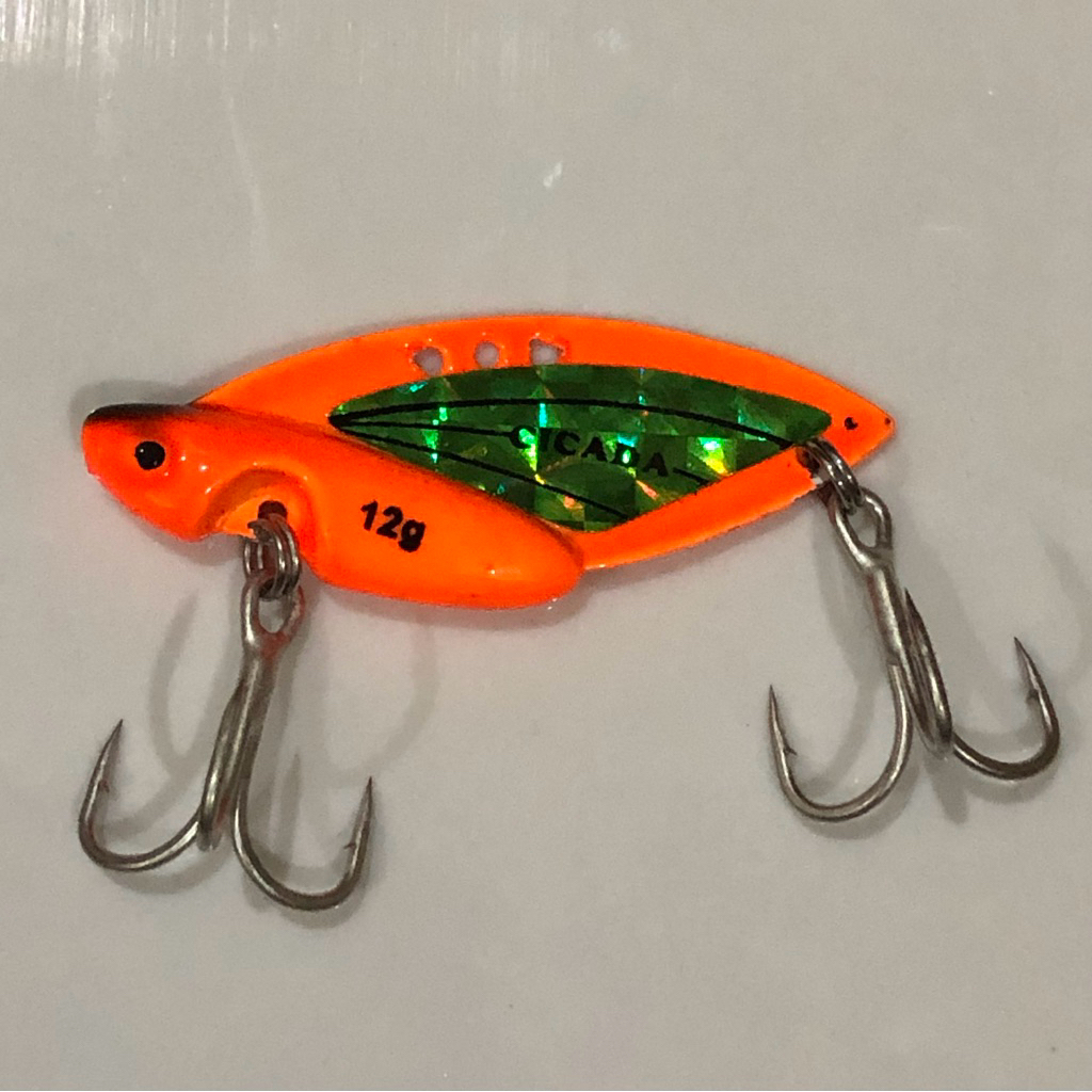 Cá Sắt Cicada Full Cam Decan ( Lưỡi BKK )