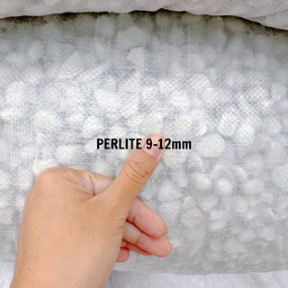 Perlite 3-7mm (Đá trân châu)