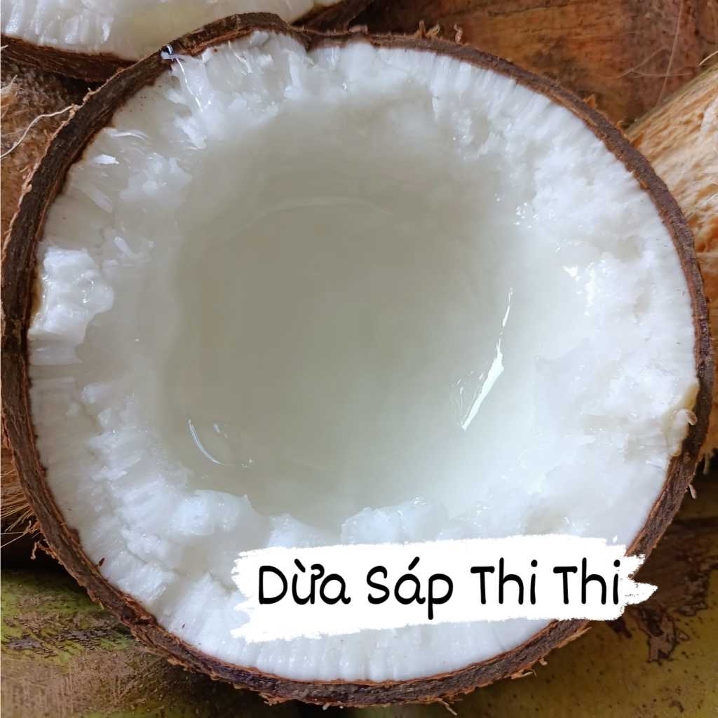 Dừa Sáp Thượng Hạng Loại 2 (Trái 800gr-1Kg)