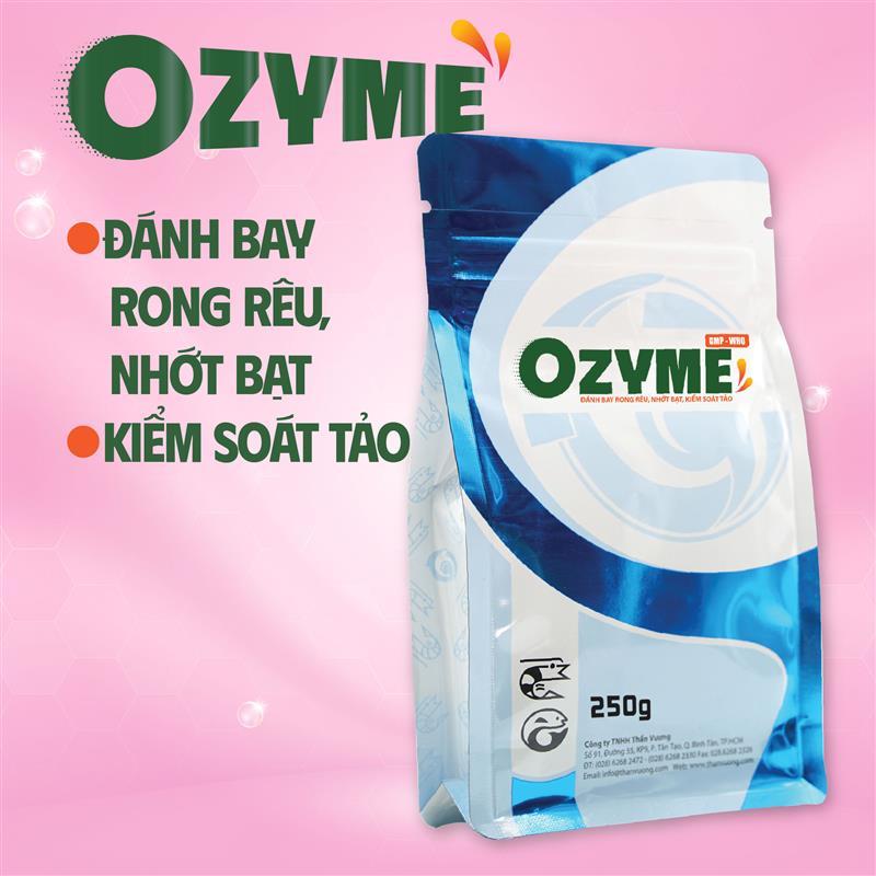 OZYME - Enzymes cắt tảo, làm sạch nhớt bạt