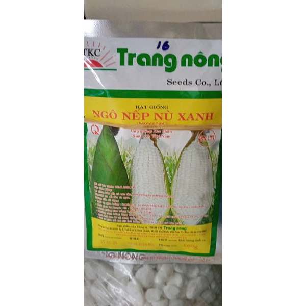 HẠT GIỐNG NGÔ NẾP NÙ XANH WAXY CORN ( BẮP NẾP NÙ) - CHÍNH HÃNG TRANG NÔNG ( DATE MỚI NHẤT)