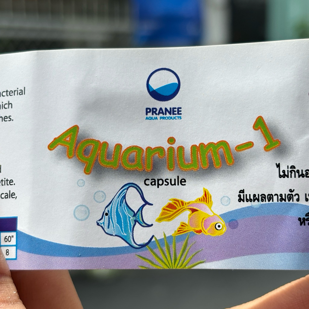 Aquarium 1 của Pranee Thái Lan Cho Cá Tép Lai Rai