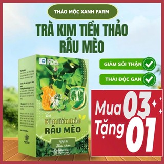 [COMBO 3 TẶNG 1] Trà Kim Tiền Thảo Râu Mèo – Trà Thảo Mộc Hỗ Trợ Sỏi Thận, Tiểu Buốt Tuổi Trung Niên