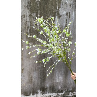  Hoa Tuyết Mai giả   cành hoa mận  trang trí nhà cửa trang trí tết. cành dài 1,2 met siêu hot - mimishophoalua 