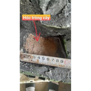hòn non bộ có thác nước