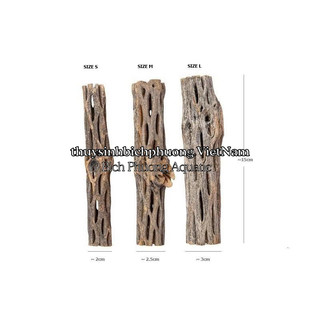 LŨA XƯƠNG RỒNG - CHOLLA CATUS ĐỒ CHƠI TÉP KIỂNG DÁN RÁY BUCEP RÊU DƯƠNG XỈ