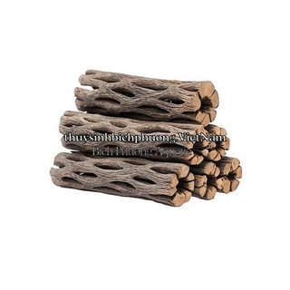 LŨA XƯƠNG RỒNG - CHOLLA CATUS ĐỒ CHƠI TÉP KIỂNG DÁN RÁY BUCEP RÊU DƯƠNG XỈ