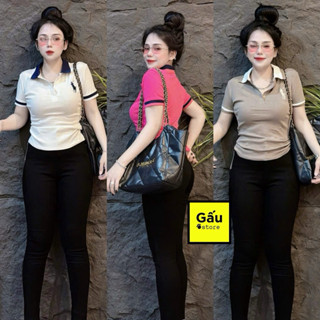 Áo thun nữ Pô Lô PHOM ÔM Gấu Store tôn eo phối bo sọc viền thêu ( Pô Lô thêu Ngựa sọc viền 047 )