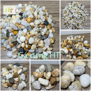  5kg sỏi biển tự nhiên  dùng lót trải nền cho bể cá  thủy sinh trang trí sân vườn chậu cây  7 size  