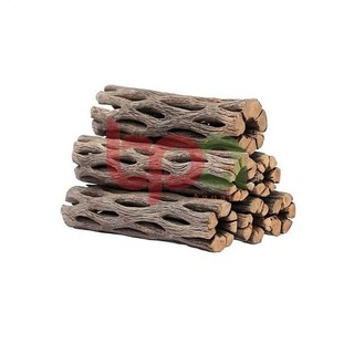 CHOLLA WOOD BABY LŨA CHOLLA HÀNG TUYỂN | ĐỒ CHƠI TÉP KIỂNG DÁN RÁY BUCEP RÊU