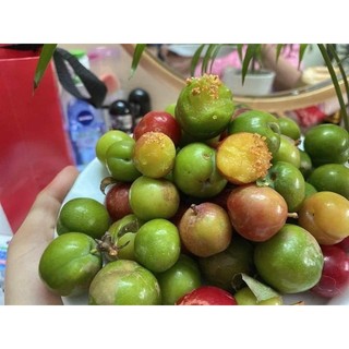 [Chỉ Giao HCM] Mận Cơm - 500g