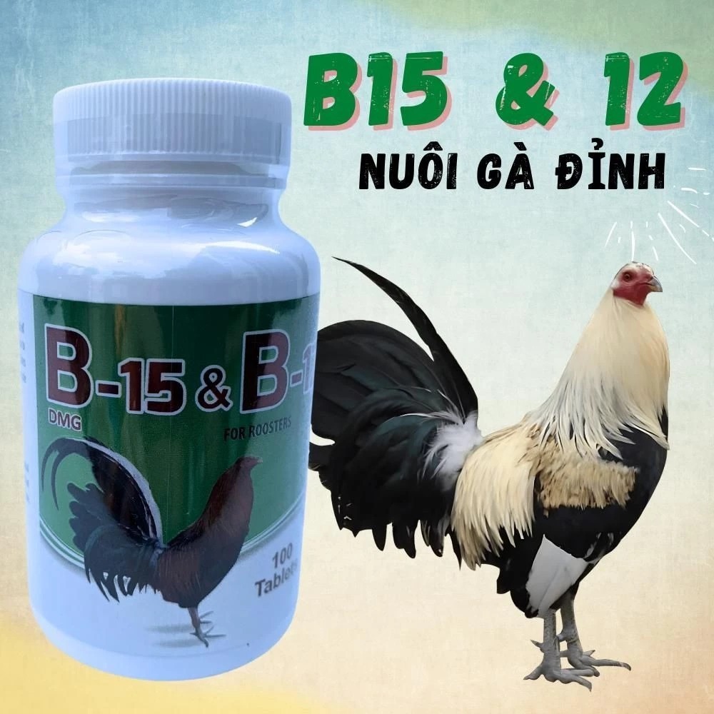 B15 B12 - Dinh Dưỡng Tăng Bo, Tăng Lực Cho chiến kê
