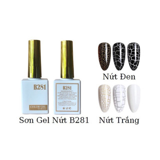 Sơn nứt trắng B281, nền vàng bạc
