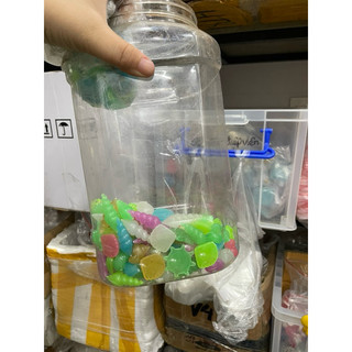 Set 3 cái Ốc, sao biển dạ quang/ charm slime, stellariva