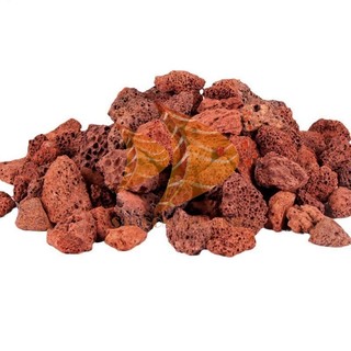 ĐÁ NHAM THẠCH ĐỎ VỤN 1KG | VẬT LIỆU LỌC HỒ THUỶ SINH - TRẢI NỀN ĐỘN NỀN NUÔI VI SINH LÀM TRONG NƯỚC