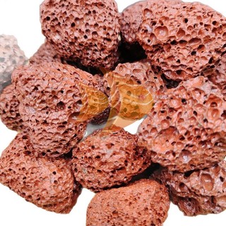 ĐÁ NHAM THẠCH ĐỎ VỤN 1KG | VẬT LIỆU LỌC HỒ THUỶ SINH - TRẢI NỀN ĐỘN NỀN NUÔI VI SINH LÀM TRONG NƯỚC