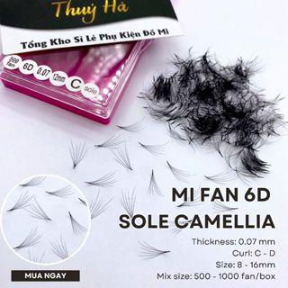 Mi fan 6D Sole Camellia dày 0.07_Cong C-CC-D_hộp 500-1000fan_mi hoa hồng sơn trà_volume_Thúy Hà