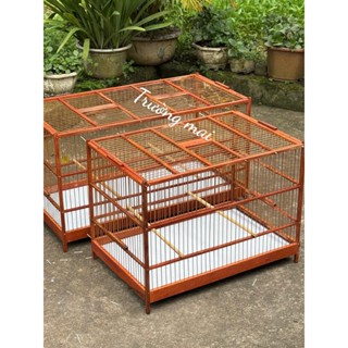 Khung lực chào mào tự ráp, khung lồng lực chào mào gỗ sến nan cáp quang nâu kích thước 50,60,80,1M ( ĐÃ RÁP SẴN 6 MẶT)