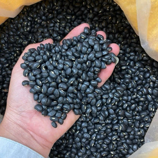 Đậu Đen Xanh Lòng Sạch 450g – Giảm Cân, Giải Độc, Đẹp Da – Phú Minh Tâm Chính Hãng