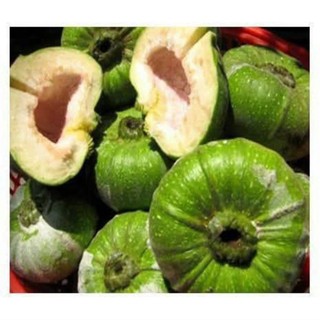 ( Rẻ Vô Địch ) 1kg Trái Vả nhà trồng, chuẩn Đặc Sản Huế