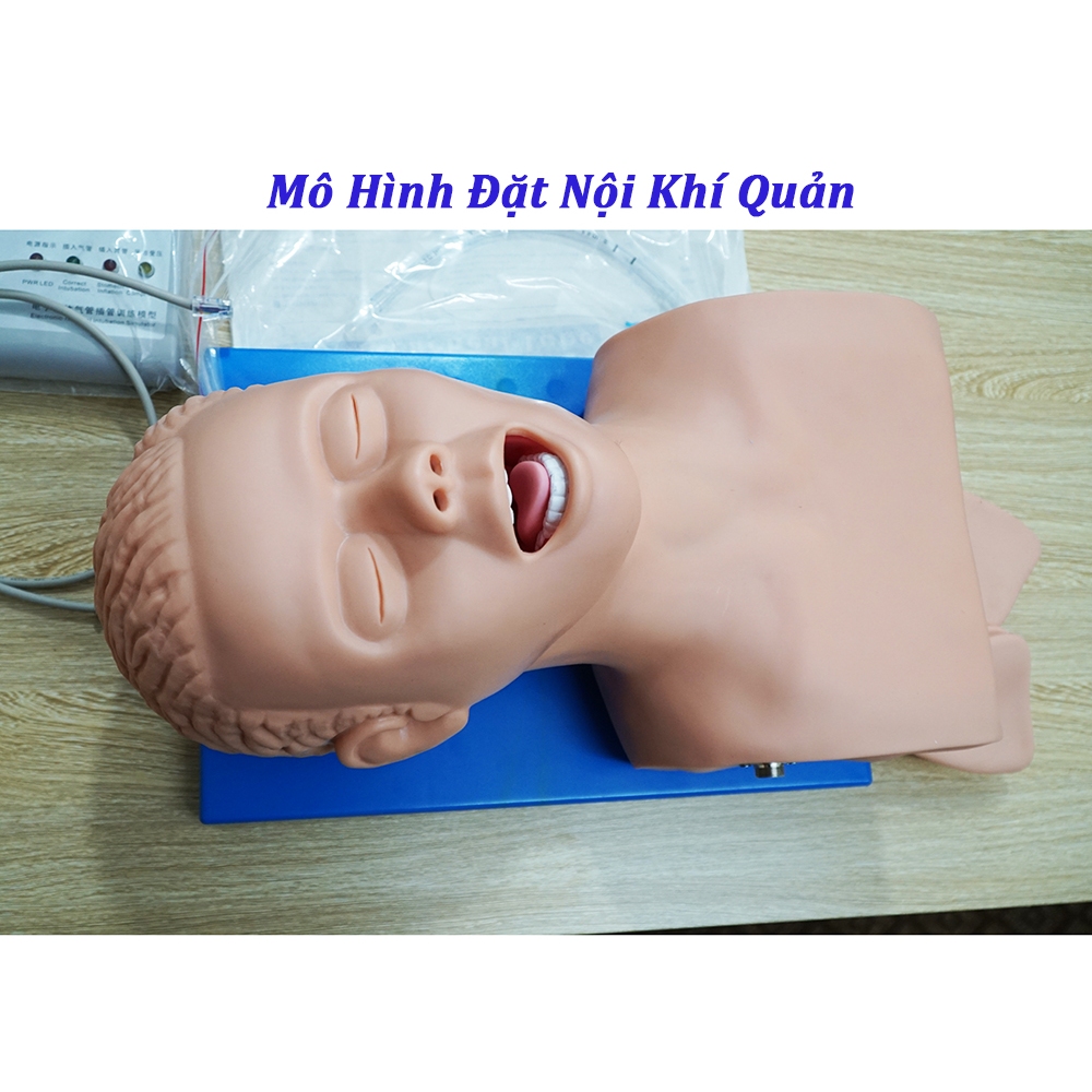 Mô Hình,Hình Nộm Thực Hành Đặt Nội Khí Quản