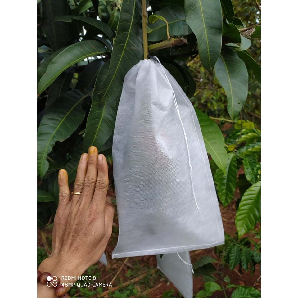 Túi Vải 22x30cm Chuyên Dùng Để Bao, Bọc Xoài,Xoài Đài Loan,Xoài Tứ Qúy,Xoài Thái,Xoài Cát Chu  ...vv