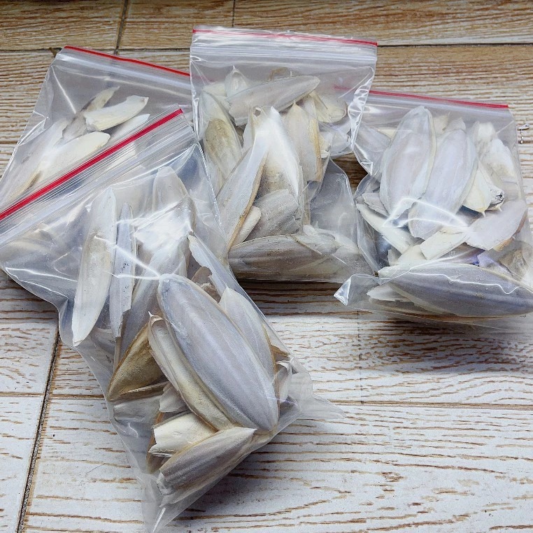 Mai mực, nang mực mini bổ sung canxi, mài răng cho chim, vẹt, hamster, gà Rutin, sóc bắc mỹ , ốc mượ