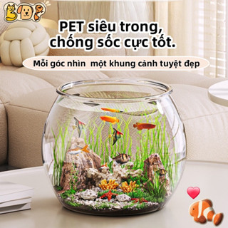  Bể cá bể cá trong suốt bể cá nhựa bể cá cảnh nhiều kích cỡ chỉ có bể cá rỗng LGP0099 