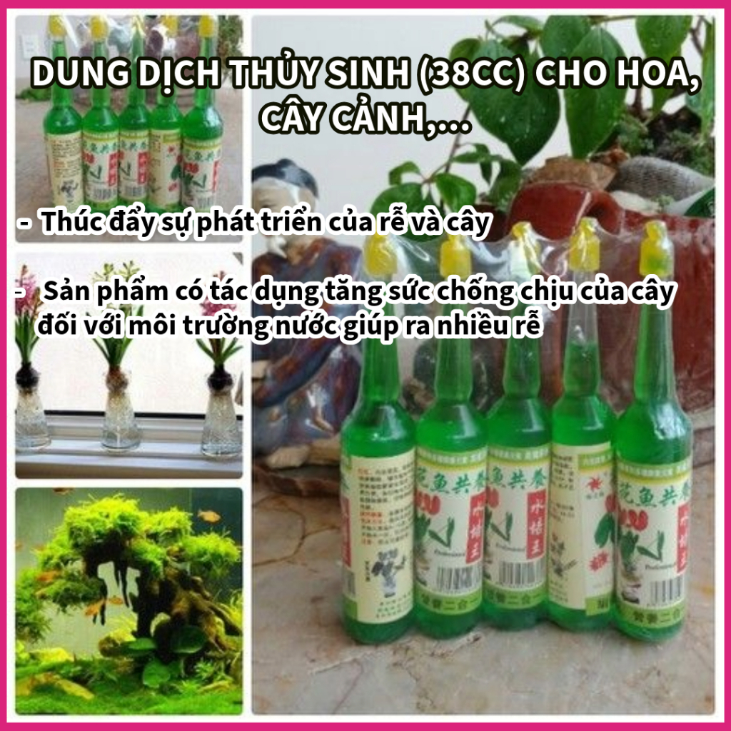 1 lọ Dung dich thủy canh 38cc dễ sử dụng chuyên dùng cho cây cảnh- cây thủy sinh