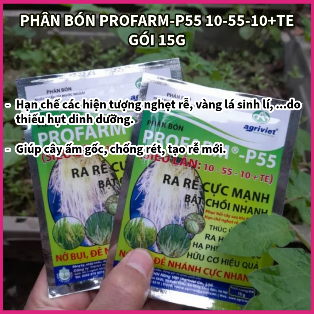 10 GÓI SIÊU LÂN XANH P55 10-55-10+TE GỐI 15G -  CHỐNG NGHẸN RỄ