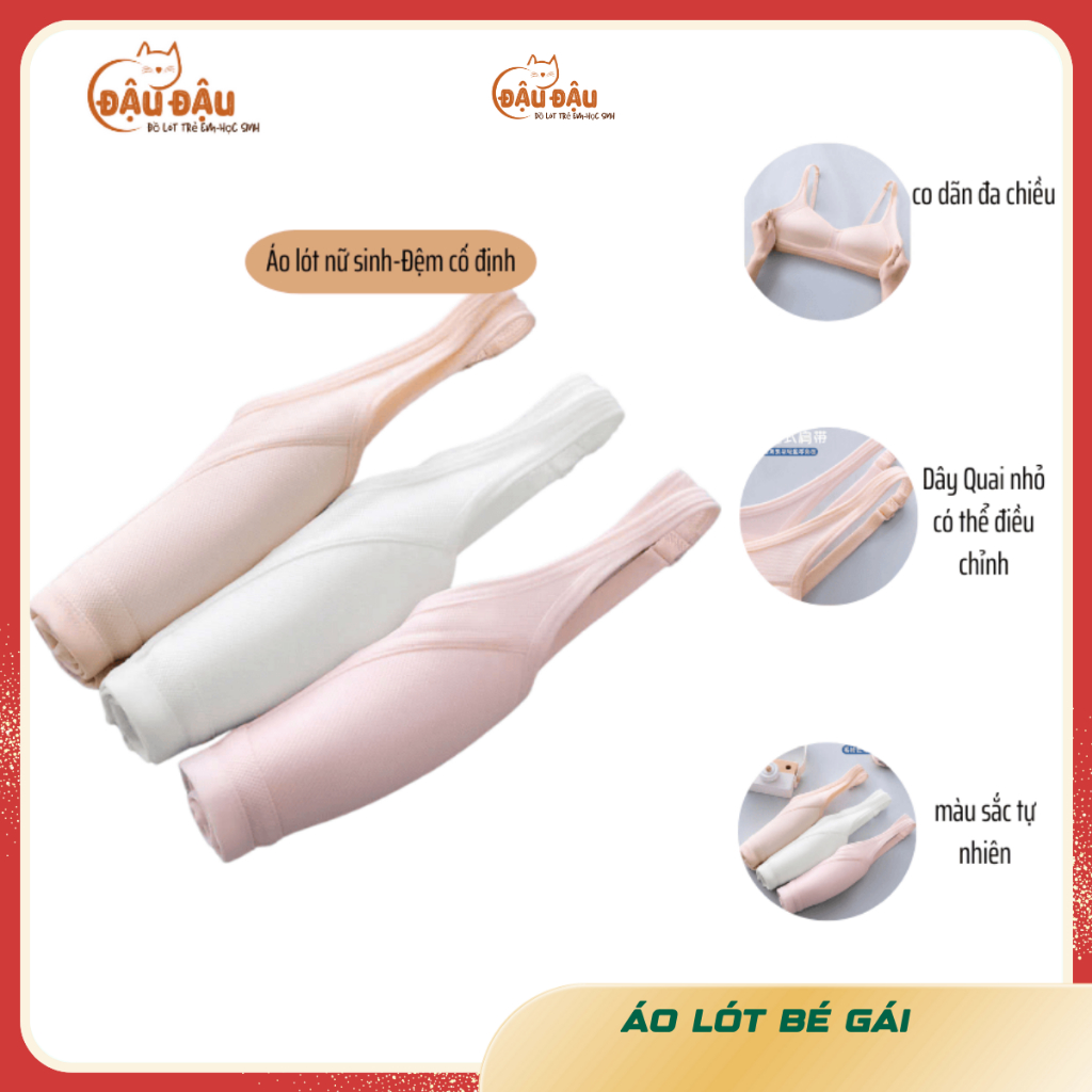 Áo lót học sinh cấp 2 có đệm cố định không gọng dạng lưới thoáng mát áo ngực trẻ em bigsize móc cài 