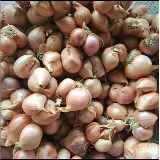 2kg hành khô bắc ta thơm ngon kinh môn HD(2kg)