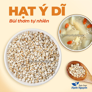 Hạt y dĩ 100g, ý dĩ nếp, hạt bo bo, thơm, bùi, dùng nấu cháo, chè, hầm gà, pha trà, làm bánh