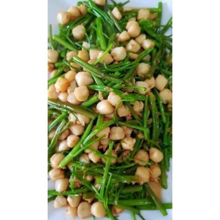 CÒI SÒ ĐIỆP. túi 1KG ( Giao hỏa tốc)