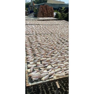 ĐÙ 1 NẮNG Cần Giờ .500g(giao hỏa tốc)