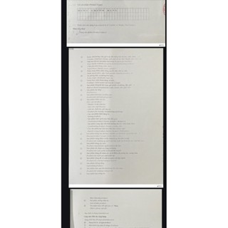 MUỐI CHƯỜM BỤNG BẢO NHIÊN