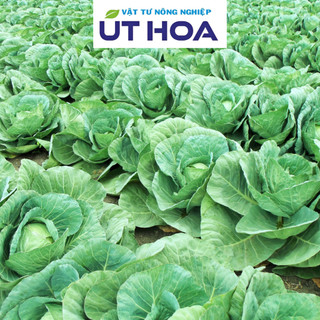 Phân Bón SIÊU RA RỄ UH Acid Humic Hữu Cơ - Rễ trắng bầu, cây mập khoẻ, lá xanh dày