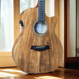  Đàn Guitar Acoustic X5 Lắp EQ M2 Có Loa Trên Thùng Full Gỗ KOA 