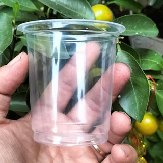 Ly nhựa trơn pp 200ml  ( 1 cây 50 cái)