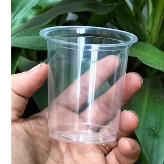 Ly nhựa trơn pp 200ml  ( 1 cây 50 cái)