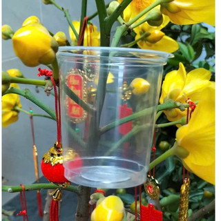 Ly nhựa trơn pp 200ml  ( 1 cây 50 cái)